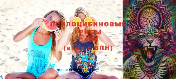 шишки Алексеевка