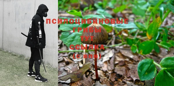 шишки Алексеевка