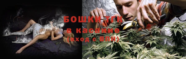 дурь Алзамай